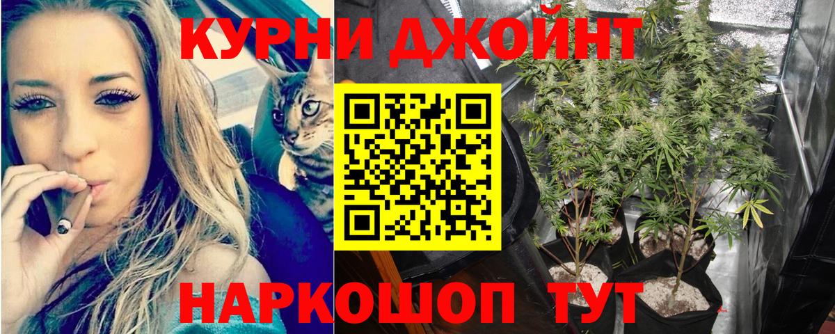 Каннабис индика Печора